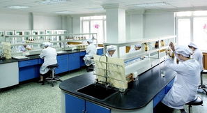 豪華賽皇宮，藥價為何高？——透視哈藥六廠事件中的網(wǎng)絡(luò)技術(shù)與輿論影響